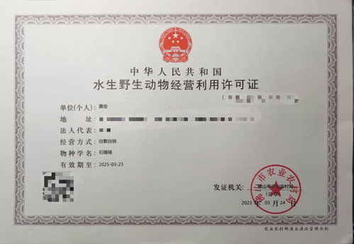 携手专业力量，共拓水产健康养殖新篇章——诚邀各省市代理加盟